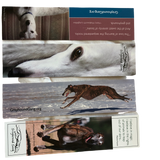 Bookmarks