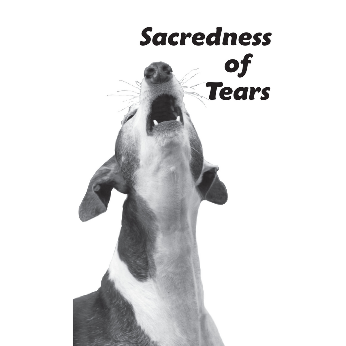 Booklets – Greyhound Gang